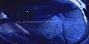 1998-the-criminal-lawyer-legal-sunscreen
